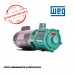 Bomba THEBE / WEG Monofásica P-11/4 NORYL 1,5 CV 127/220V