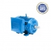 Motor Elétrico Weg 2CV Monofásico Blindado Baixa Rotação IV Polos