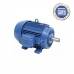 Motor Elétrico Weg 1CV Trifásico Blindado Baixa Rotação IV Polos