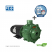 Bomba THEBE / WEG Monofásica P-15/2 AL 3,0 CV 127/220V